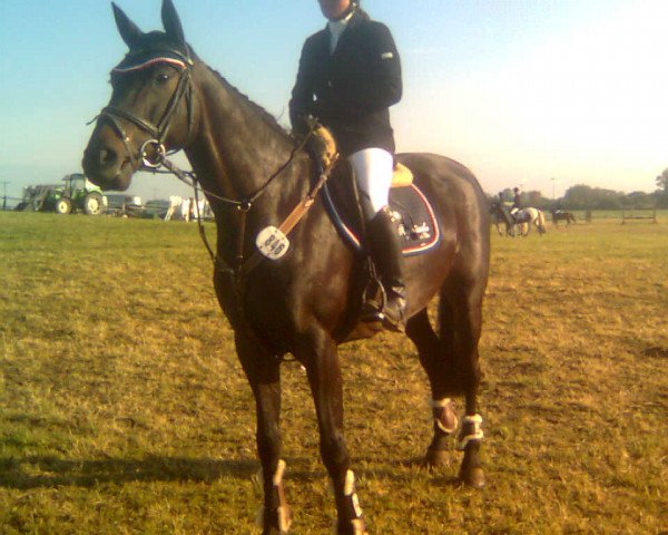broodmare Reyca (Holsteiner, 2001, from Capo)