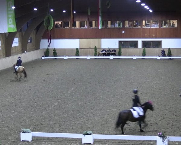 Reitturnier Hövelhof 2022