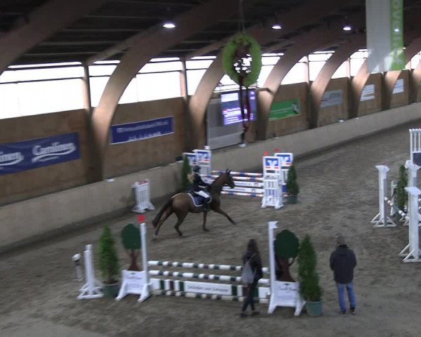 Reitturnier Hövelhof 2022