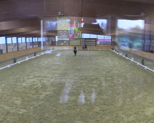 Reitturnier Steinhagen 2022
