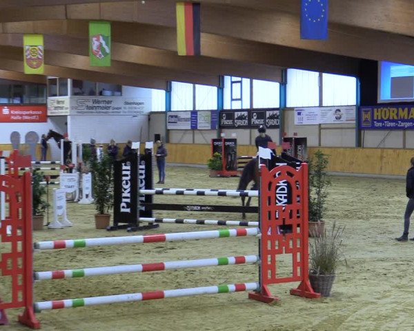 Reitturnier Steinhagen 2022