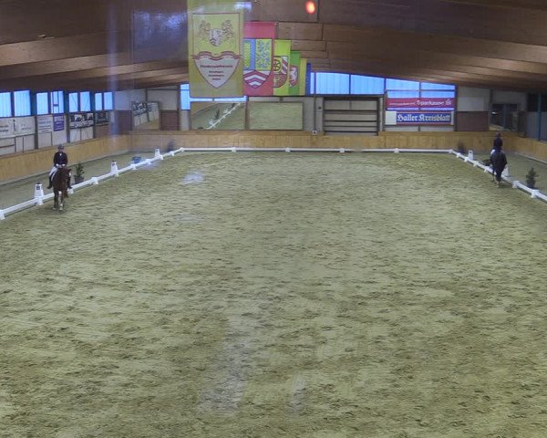 Reitturnier Steinhagen 2022