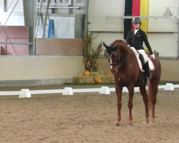 Reitturnier Waghäusel-Wiesental 2022