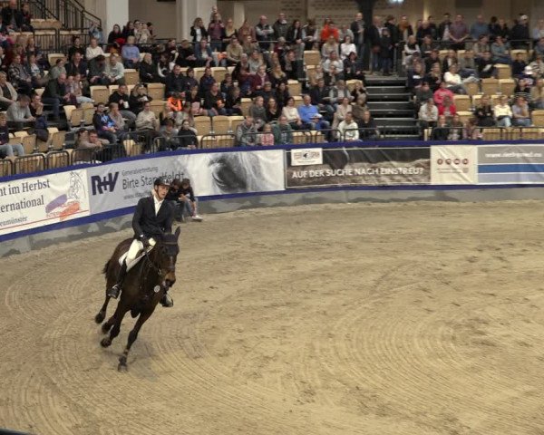 FEI Reitturnier Neumünster 2022