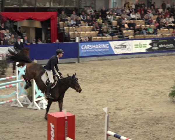 FEI Reitturnier Neumünster 2022