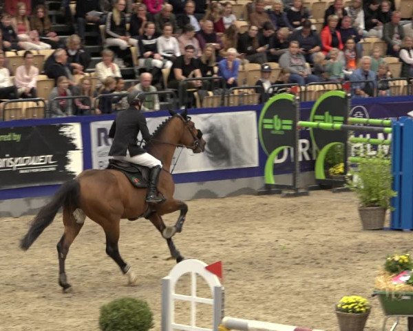 FEI Reitturnier Neumünster 2022