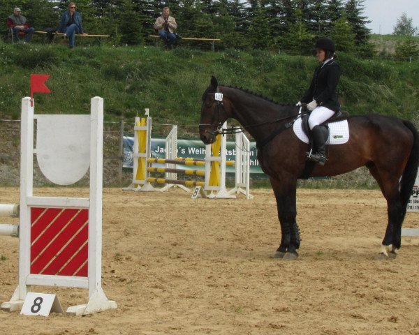 jumper Scander (German Sport Horse, 1994, from Scampolo)