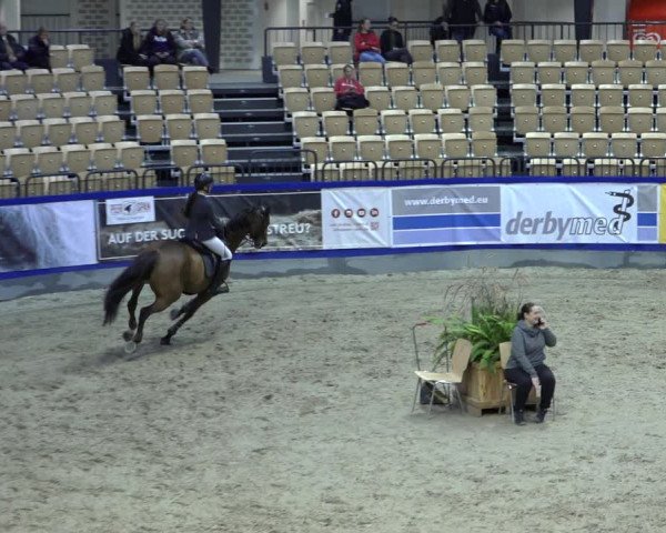 FEI Reitturnier Neumünster 2022