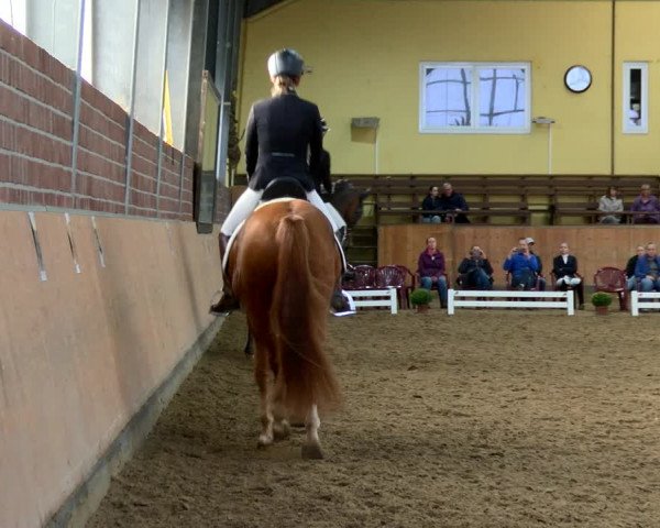 Reitturnier Frechen-Grefrath - Sonnenhof 2022