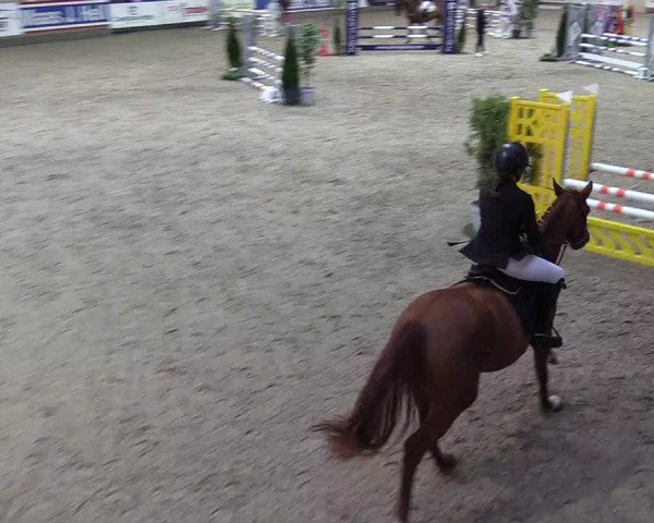 2. Nordic Jumping event Negernbötel 2022