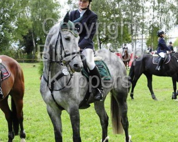 horse Annahof's Shakira (Württemberger, 2003, from Samos)
