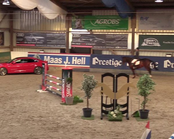 2. Nordic Jumping event Negernbötel 2022