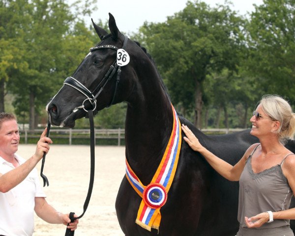Miranda Huisman