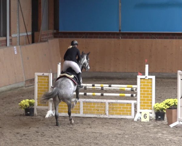 Reitturnier Osterholz-Scharmbeck 2022