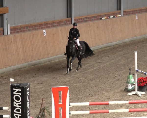 Reitturnier Osterholz-Scharmbeck 2022