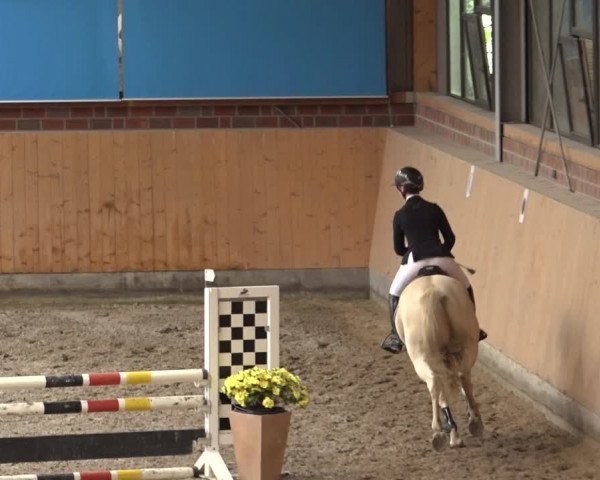 Reitturnier Osterholz-Scharmbeck 2022