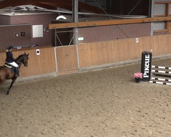 Reitturnier Osterholz-Scharmbeck 2022