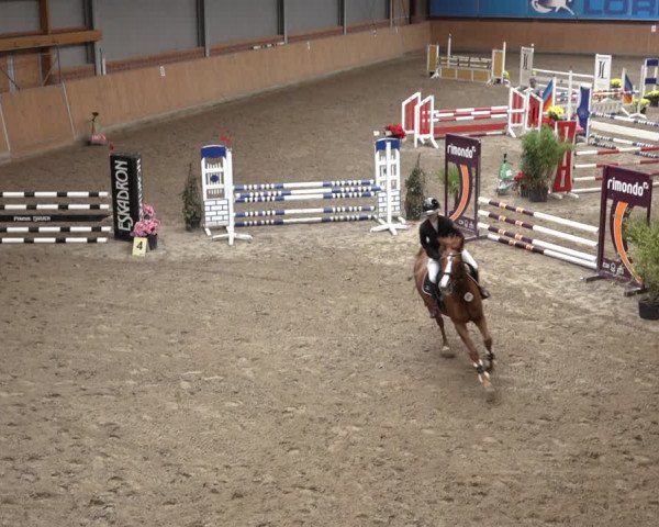 Reitturnier Osterholz-Scharmbeck 2022