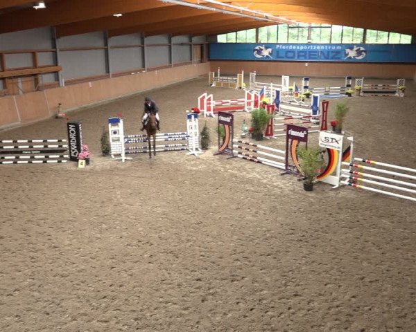 Reitturnier Osterholz-Scharmbeck 2022
