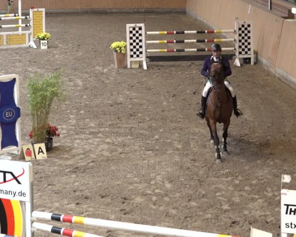 Reitturnier Osterholz-Scharmbeck 2022