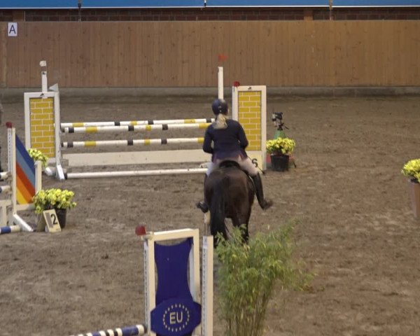 Reitturnier Osterholz-Scharmbeck 2022