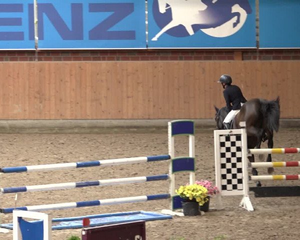 Reitturnier Osterholz-Scharmbeck 2022