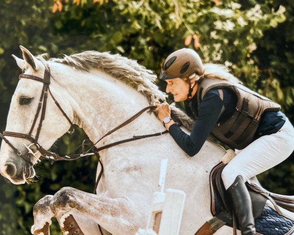 Springpferd Ride Smart Zoran (Holsteiner, 2016, von Zirocco Blue) Springpferd Ride Smart Zoran (Holsteiner, 2016, von Zirocco Blue)