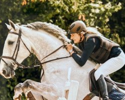 jumper Ride Smart Zoran (Holsteiner, 2016, from Zirocco Blue)