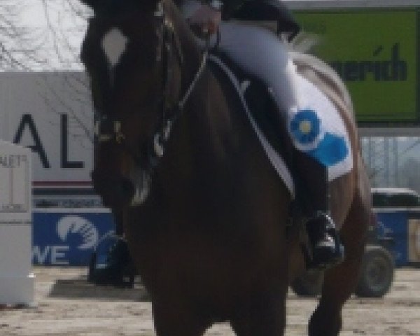 broodmare Elegance (Holsteiner, 1999, from Liatos)