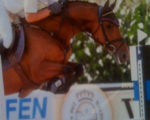 broodmare Laskaja (Westphalian, 2003, from Landor S)