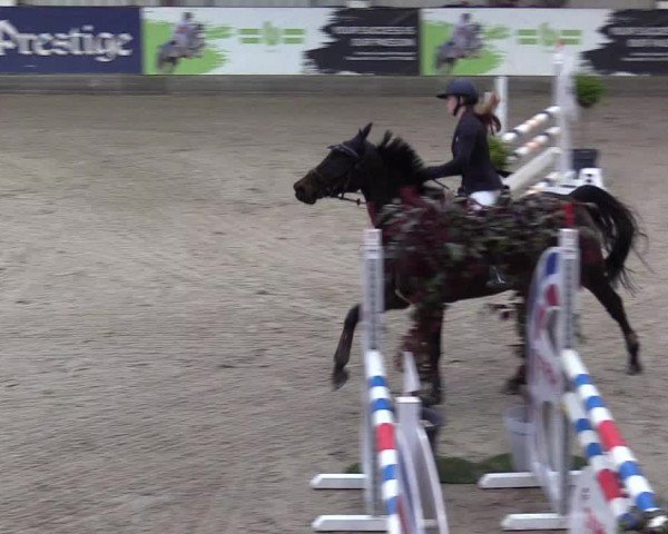 2. Nordic Jumping event Negernbötel 2022