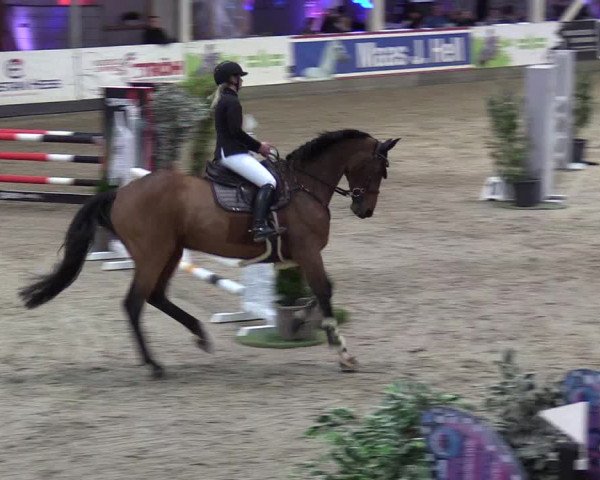 2. Nordic Jumping event Negernbötel 2022