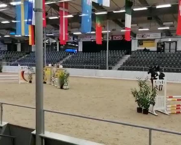 Video von Colada