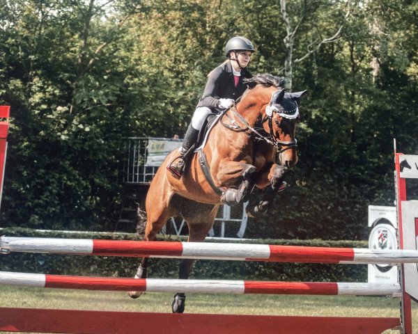 jumper Campari Lane (Oldenburg, 2009, from Chap 47)