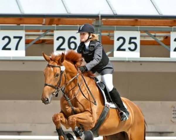 broodmare Junona (polish noble half-breed, 2001, from Consor)