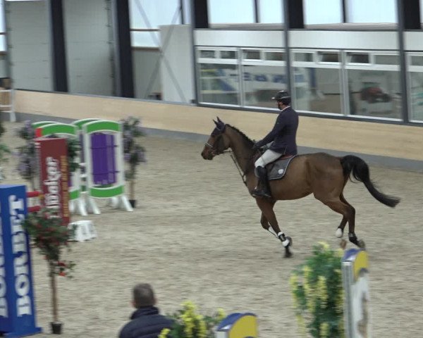Reitturnier Borken 2022