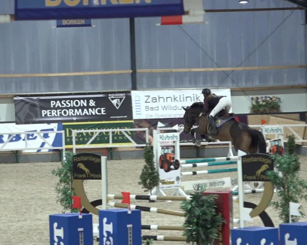 Reitturnier Borken 2022