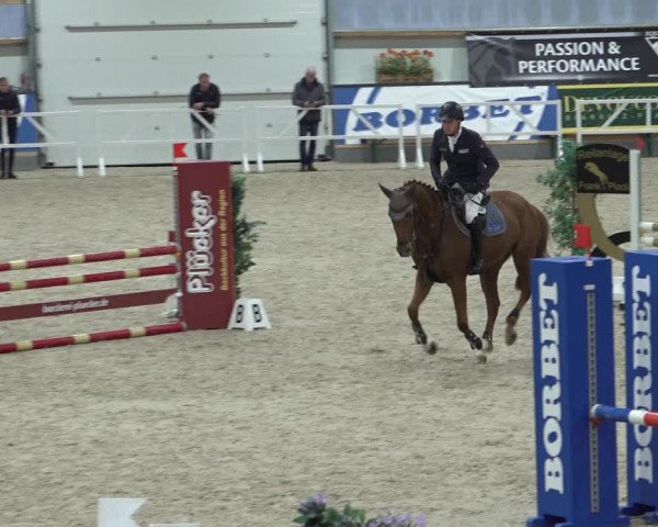Reitturnier Borken 2022
