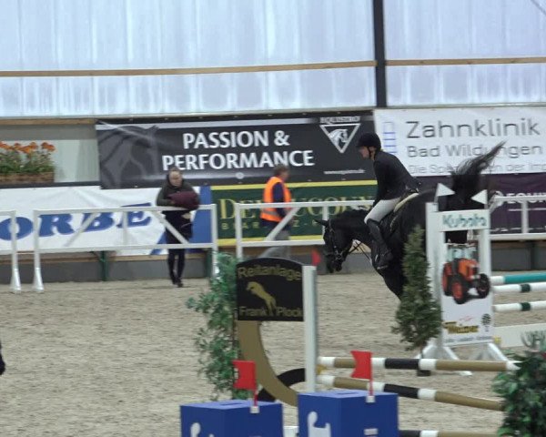 Reitturnier Borken 2022