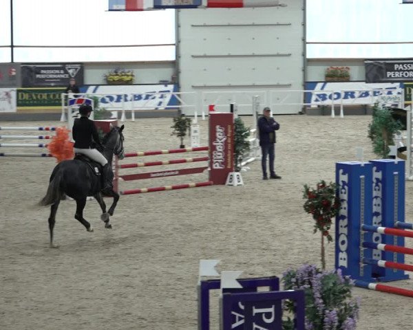 Reitturnier Borken 2022