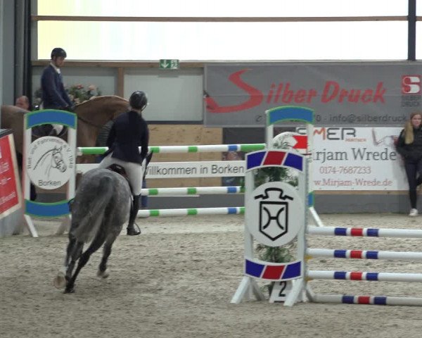 Reitturnier Borken 2022