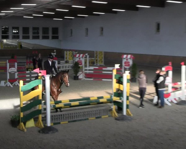 Reitturnier Freudenberg 2022