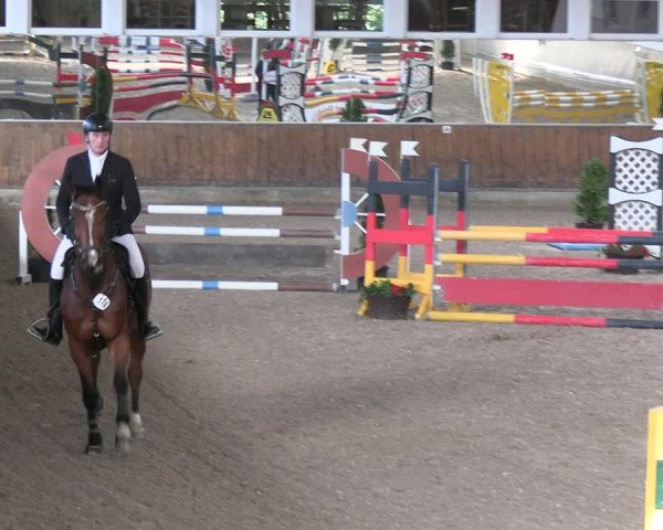 Reitturnier Freudenberg 2022