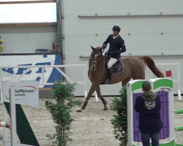 Reitturnier Borken 2022
