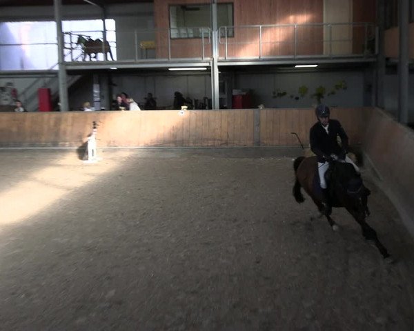 Reitturnier Freudenberg 2022