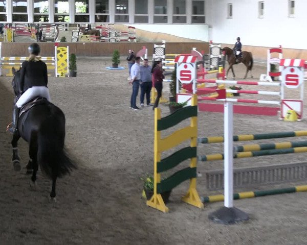 Reitturnier Freudenberg 2022
