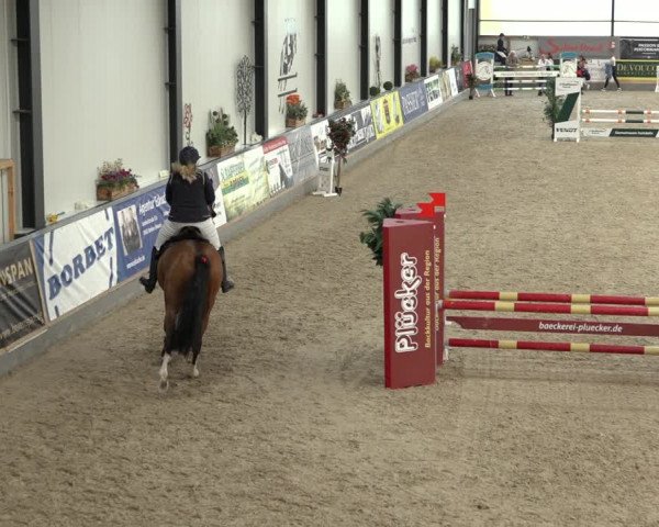 Reitturnier Borken 2022