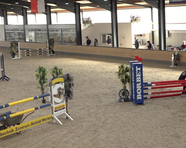 Reitturnier Borken 2022