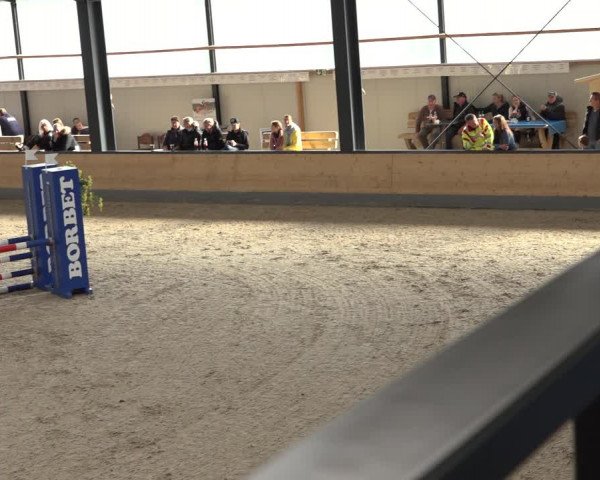 Reitturnier Borken 2022