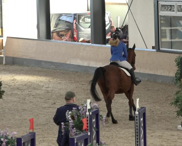 Reitturnier Borken 2022